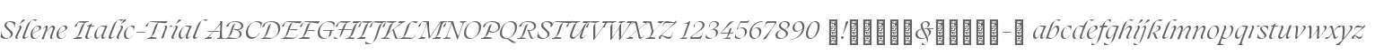 Silene Italic-Trial