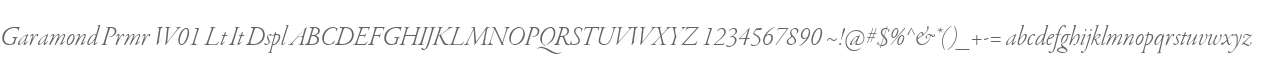 Garamond Prmr W01 Lt It Dspl
