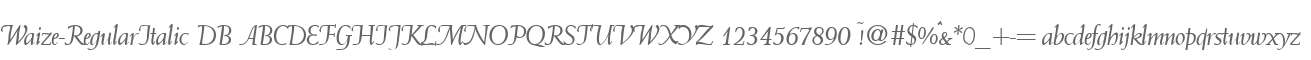 Waize-RegularItalic DB