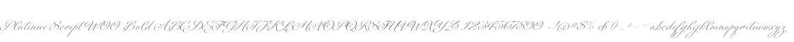 Platinus Script W00 Bold