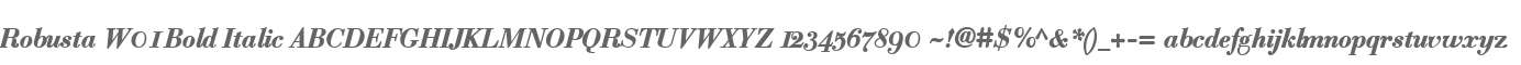 Robusta W01 Bold Italic