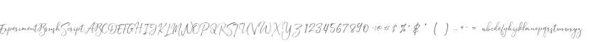 ExperimentBrushScript