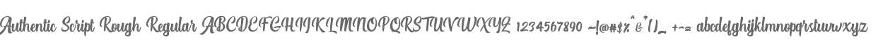 Authentic Script Rough Regular
