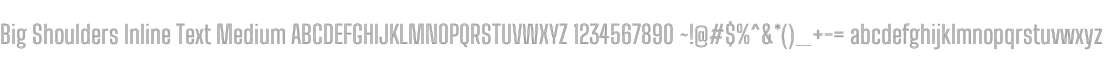 Big Shoulders Inline Text Medium