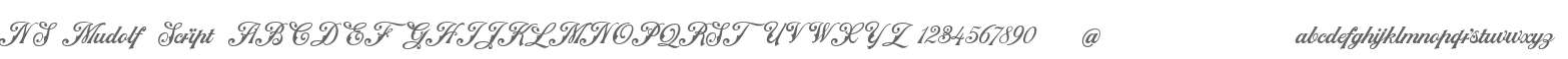 NS Mudolf Script