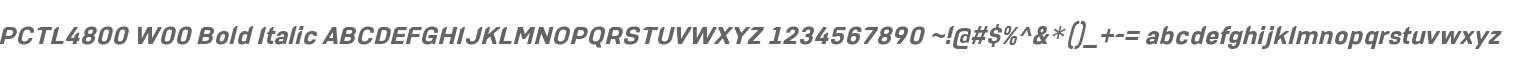 PCTL4800 W00 Bold Italic