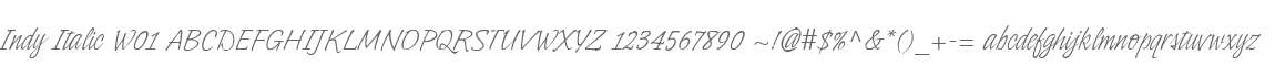 Indy Italic W01