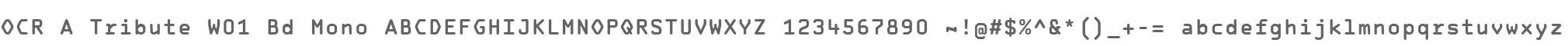 OCR A Tribute W01 Bd Mono