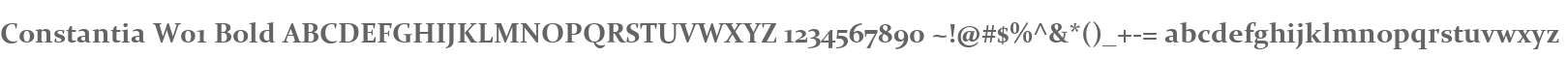 Constantia W01 Bold