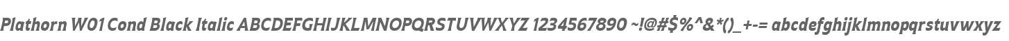 Plathorn W01 Cond Black Italic