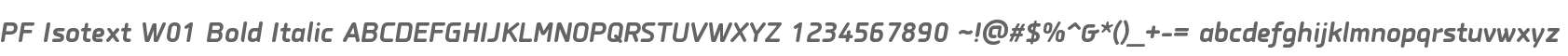 PF Isotext W01 Bold Italic