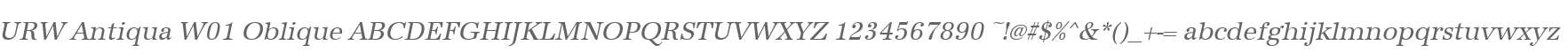 URW Antiqua W01 Oblique
