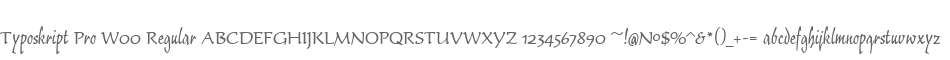 Typoskript Pro W00 Regular