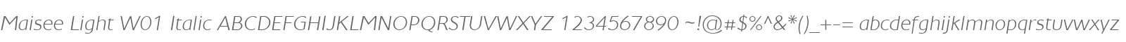 Maisee Light W01 Italic