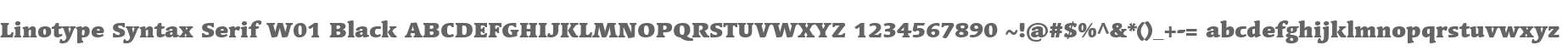 Linotype Syntax Serif W01 Black