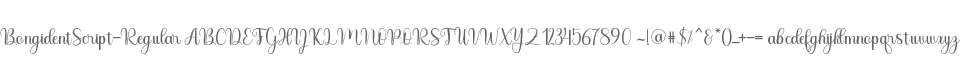 BongidentScript-Regular