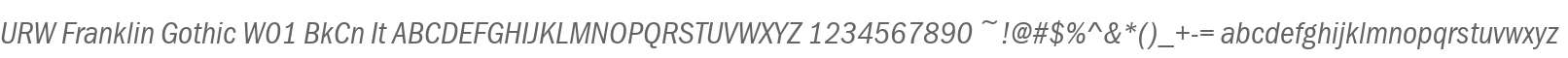 URW Franklin Gothic W01 BkCn It