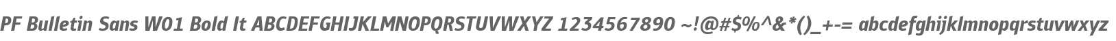 PF Bulletin Sans W01 Bold It