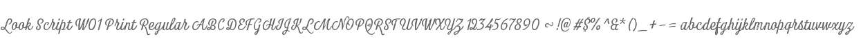 Look Script W01 Print Regular