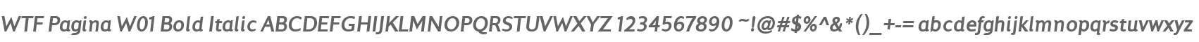 WTF Pagina W01 Bold Italic