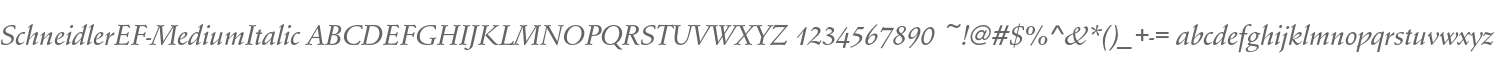 SchneidlerEF-MediumItalic