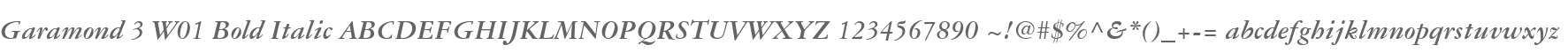 Garamond 3 W01 Bold Italic