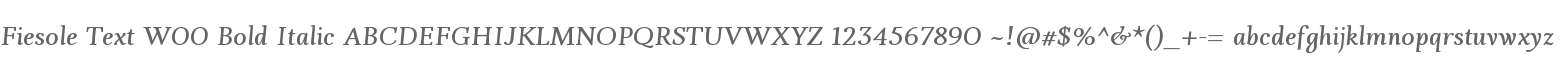 Fiesole Text W00 Bold Italic