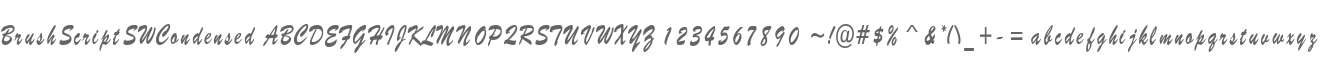 BrushScriptSWCondensed