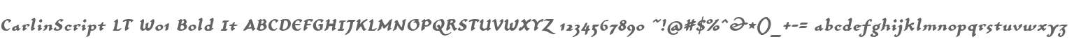 CarlinScript LT W01 Bold It