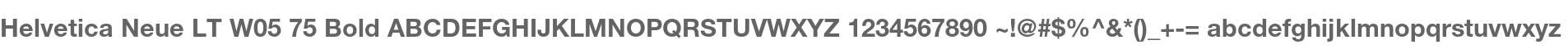 Helvetica Neue LT W05 75 Bold