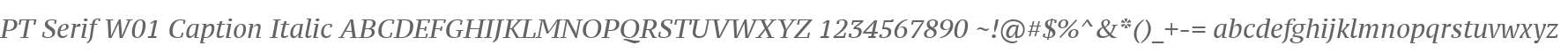 PT Serif W01 Caption Italic