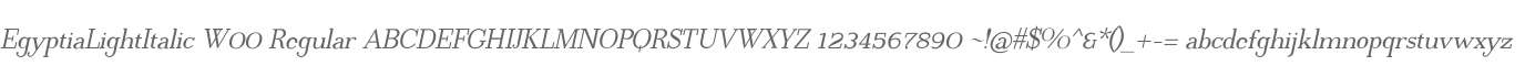 EgyptiaLightItalic W00 Regular