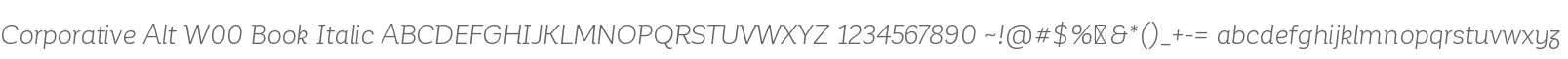 Corporative Alt W00 Book Italic