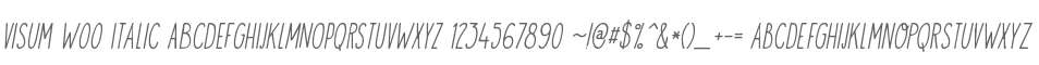 Visum W00 Italic