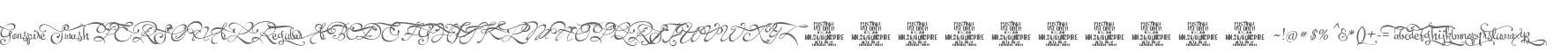 Gonspire Swash PERSONAL