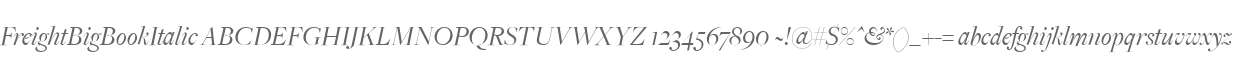 FreightBigBookItalic