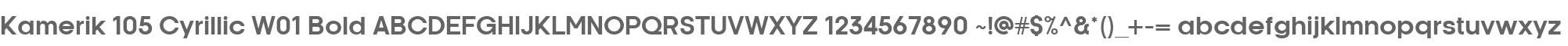Kamerik 105 Cyrillic W01 Bold