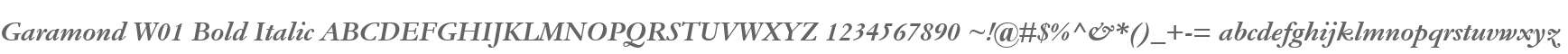 Garamond W01 Bold Italic