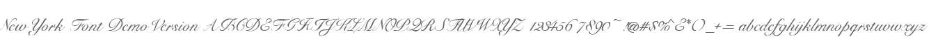 New York Font Med