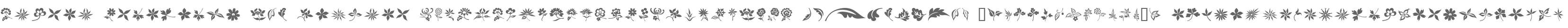 Floral Ornaments W95 Regular