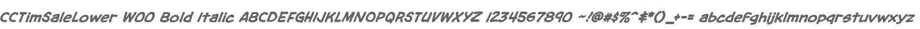 CCTimSaleLower W00 Bold Italic