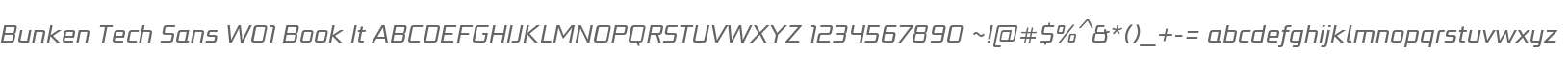 Bunken Tech Sans W01 Book It