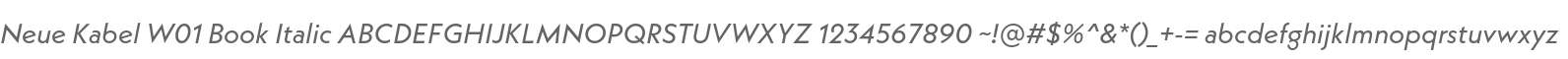 Neue Kabel W01 Book Italic