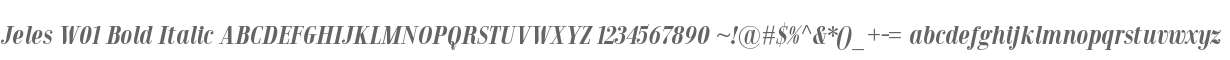 Jeles W01 Bold Italic