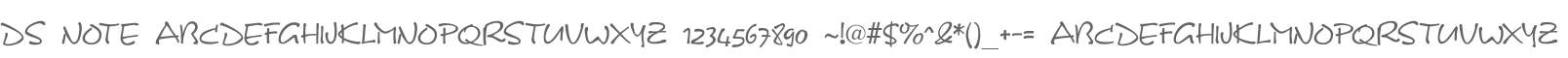 DS Note