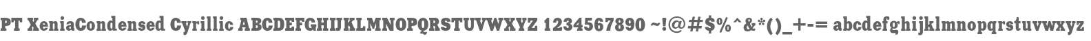 PT XeniaCondensed Cyrillic