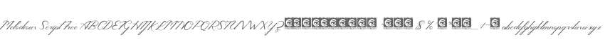 Melodious Script Free