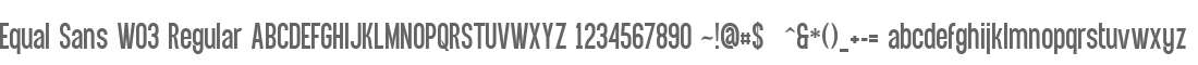 Equal Sans W03 Regular
