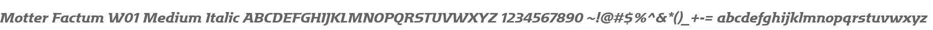 Motter Factum W01 Medium Italic