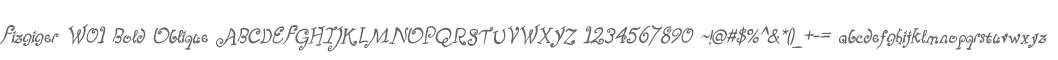 Fizgiger W01 Bold Oblique